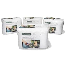 Nature Babycare Eco Pull On Pants