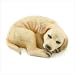 Golden Lab Puppy Figurine - Style 36992