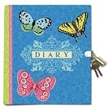 Beautiful Lock and Key Diary