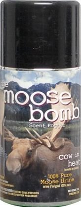 Buck Moose Bomb Cow in Heat