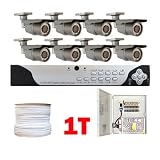 Complete Professional 8 Channel Real Time H.264 (1TB HD) DVR CCTV Outdoor Security Camera Surveillance System Package with 8 Pack 1/3