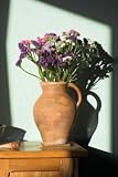 Wholesale Statice Flowers, Bulk 100 Stems