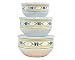 Pfaltzgraff Summer Breeze 6-Piece Enamel on Steel Bowl Set, Large