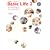 Basic life 2�\���ꂼ��̕�炵�A�܂��ɂ��̕�炵