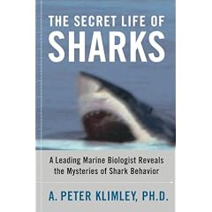 The Secret Life of Sharks: Leading Marine Biologist Reveals the Mysteries of Shark Behaviour