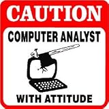 CAUTION: COMPUTER ANALYST program fun sign