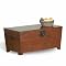 Wooden Trunk Cocktail Table