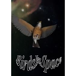 Birds in Space