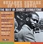 Suzanne Beware of the Devil: The Best of
