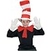Cat In The Hat- Child Accessory Kit Child
