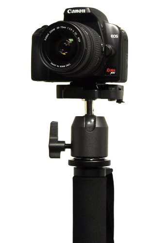 Plate Quick   Head  Monopods Ball Tripods   Monopod Tripods Release