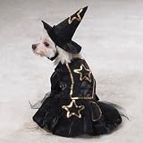 Casual Canine Lil' Witch Pet Costume