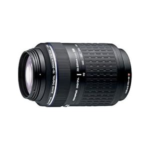 SLR Cameras sale