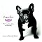 French Bulldogs and Other Addictions