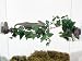 Pet Tech Jungle Vine Terrarium Decor Bridge