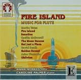 Fire Island: Music for Flute an album by Amanda Palmer