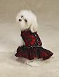 RED - LARGE - Lace Flamenco Dog Dress