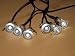 SET OF 6 MINI LOW VOLTAGE PLASTIC WHITE LED DECK LIGHTING