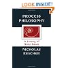 Process Philosophy: A Survey of Basic Issues
