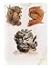 Heads of Evil Demons: Theumis, Asmodeus and the Incubus, Illustrations from The Magus, Pub. 1801 Giclee Poster Print by Francis Barrett, 18x24