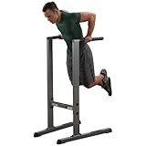 Body-Solid Commercial Dip Station