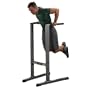 Body Solid GDIP59 Dip Station