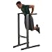 Body Solid GDIP59 Dip Station