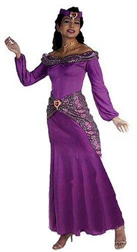 Disney Prestige Jasmine Licensed Costume