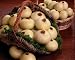 Plantation Onion Trio