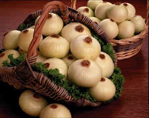Plantation Onion Trio by French Onion Soups