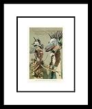 Hopi Shooyokos Kathinas, Arizona Framed Art Poster Print, 14x16