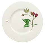 Villeroy & Boch Wildberries Salad Plate
