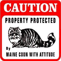 CAUTION: MAINE COON PROTECTION cat warn sign