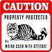 maine coon - CAUTION: MAINE COON PROTECTION cat warn sign