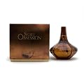Calvin Klein Secret Obsession Eau De Parfum for Women 100 ml