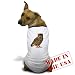 Artsmith, Inc. Dog T-Shirt Eurasian Eagle Owl - Medium