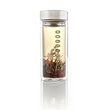 Teavana Harmony Glass Tea Tumbler with Infuser