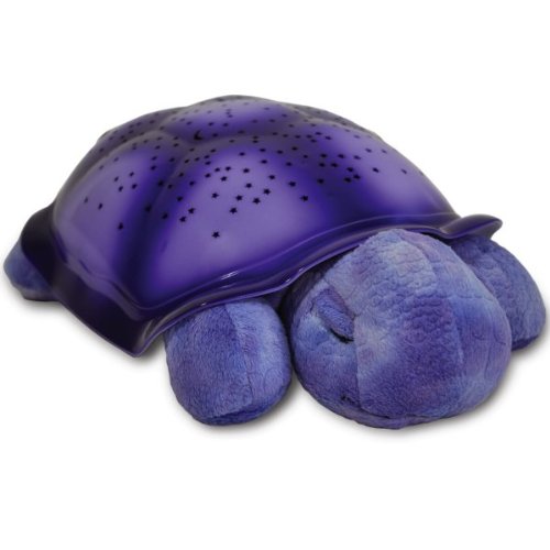 Twilight Turtle - Purple