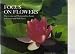 Focus on Flowers: Discovering and Photographing Beauty in Gardens and Wild Places
