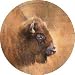 Buffalo Thirstystone Sandstone Coaster Set