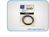 GE SmartWater Filter O-Ring (WS03X10039)