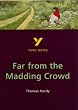 York Notes on Thomas Hardy's "Far from the Madding Crowd"