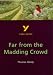 The best study guides i've used for English Literature