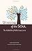 Books : Window of the Soul: The Kabbalah of Rabbi Isaac Luria