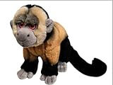 Land & Sea Wild Animals - Capuchin Monkey