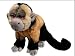 Land & Sea Wild Animals - Capuchin Monkey