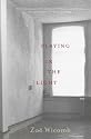 Playing in the Light: A Novel