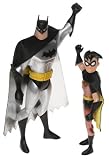 Batman The Animated Series Action Figure 2-Pack Batman & Robin