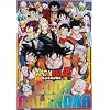 ドラゴンボールZ 2007年 カレンダー
