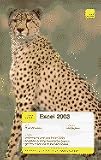 Teach Yourself Excel 2003 (Teach Yourself)
